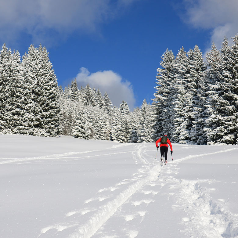 illercamping_winter